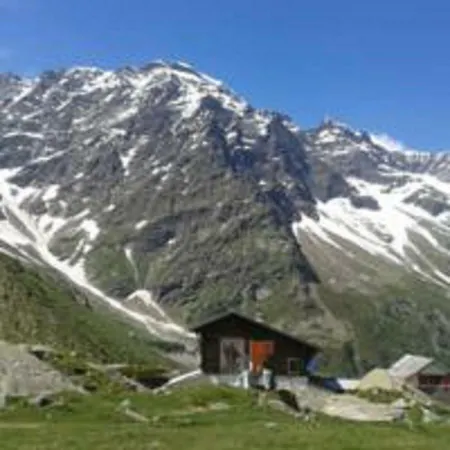 Martina Domek alpejski *